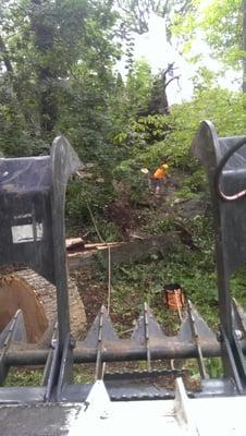 Storm Cleanup in Greenwich, CT