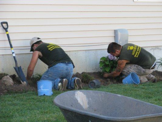 INSTALL NEW BED BUSHES AND MULCH