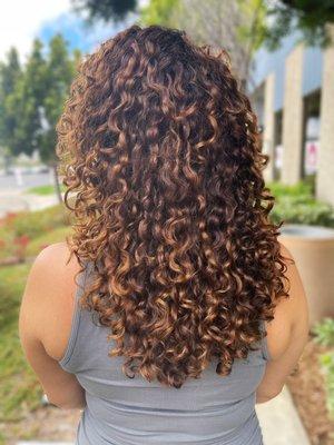 Color and balayage using all amonia-free products, and curly cut!