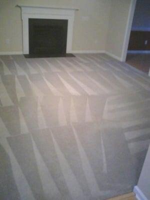 Carpet Cleaning