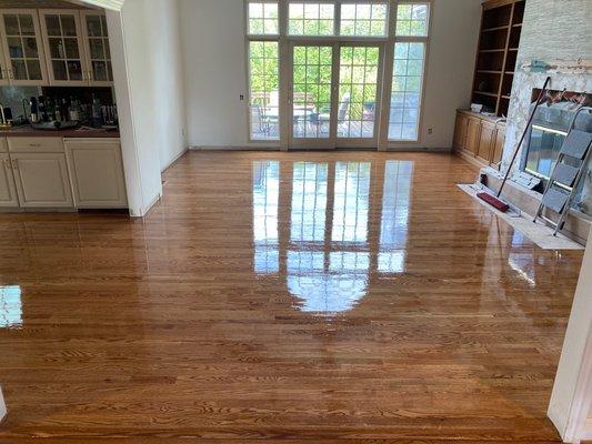 Golden oak Stain