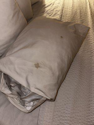 Stained pillow cases and sheets.