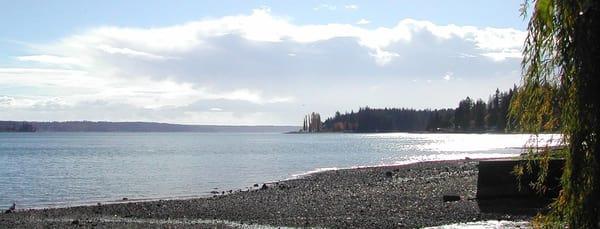 Looking south from the beach