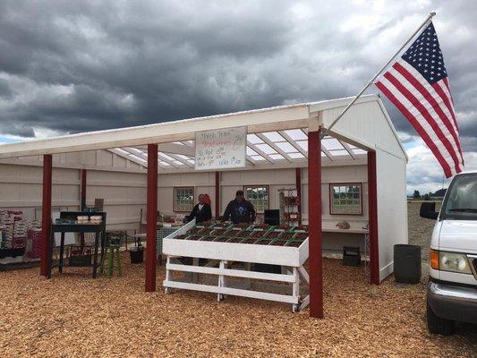 Strawberry stand in Kent. Open in June.