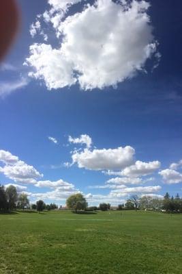 This park is beautiful! Thank you Lodi for keeping it so nice. The trees are my favorite part about it. So peaceful.