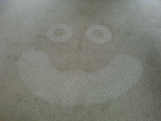 Just having some fun cleaning a clients carpet. We had a good laugh.