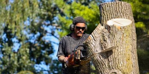 Al's Tree Service