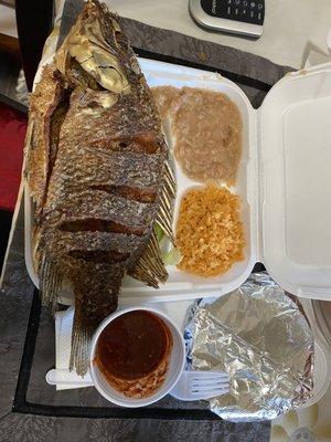 Fried fish with rice beans and salad underneath the fish