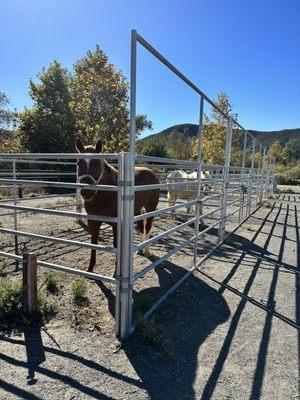 Harmony Grove Equestrian Center