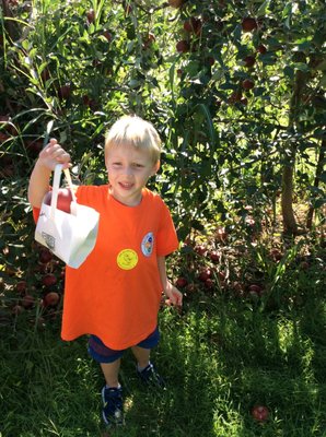 Kids love our field trips as well as Fall apple picking.