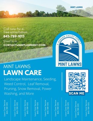 Mint Lawns