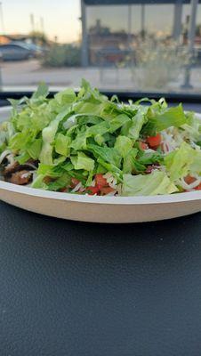 Carne asada salad