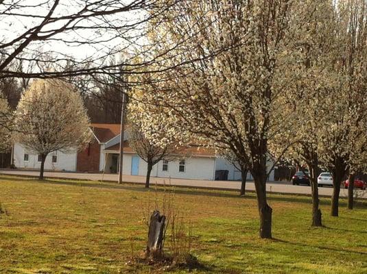 Spring scenery of the church