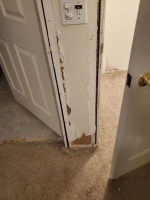 Baseboards ripped from the doors and floor