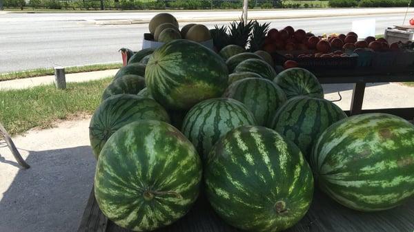 Watermelons $5