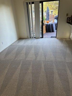 Carpet cleaning