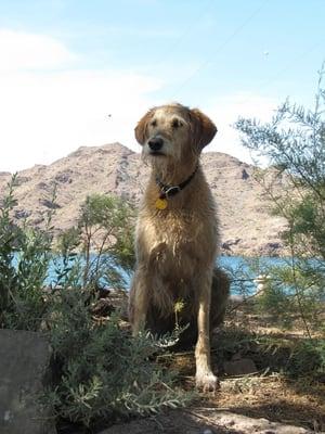 Uncommon Canines get to hang with nature.