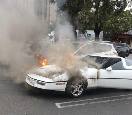 San Diego Auto Clinic