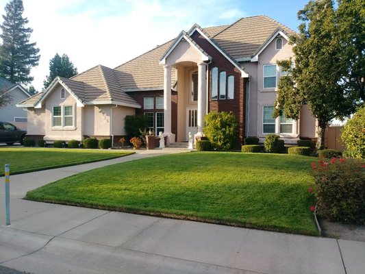 Saldana Landscape & Maintenance Serving Sacramento CA 916 539 4664