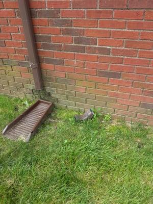 The neglected down spout on our outer wall that took months and a mold/ mildew problem in our bedroom before being fixedm