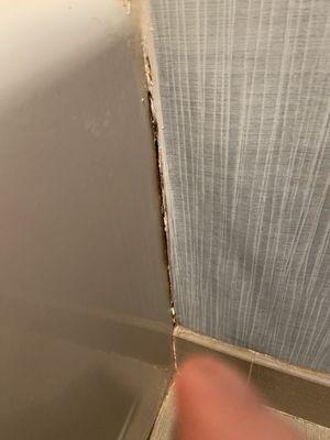 Mold in bathroom