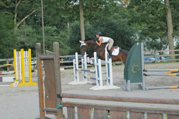 Apple Knoll jumpers  Mocha with student Aly aboard.