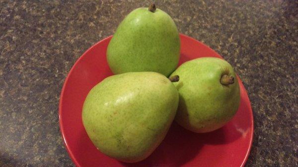 Beurré d'Anjou Pears