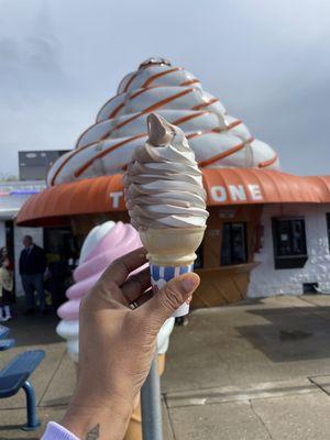 Chocolate & vanilla swirl medium cone.