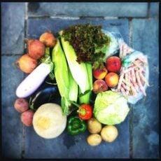 Weekly CSA delivery with corn, melon, shell beans...picture courtesy of Jessica Walsh