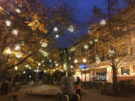 Lincoln Plaza during the holidays