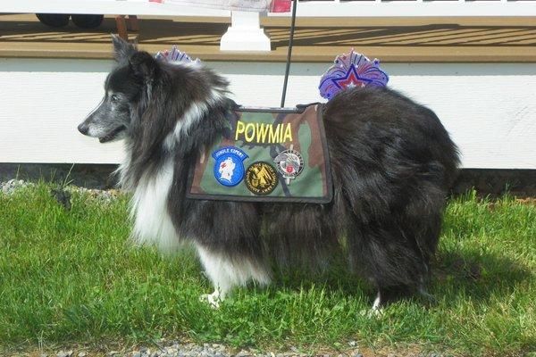 POWMIA RIP The National Therapy Dog