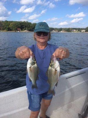 11" & 12" White Perch