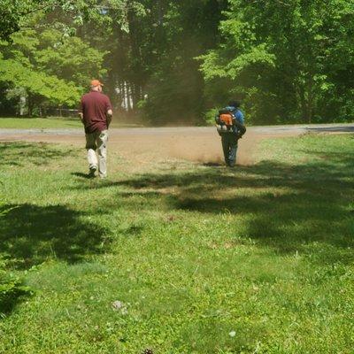 The crew cleaning up my yard.