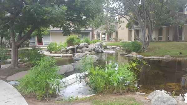 Beautiful courtyard