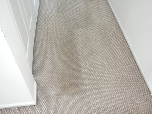 Hallway Berber carpeting with deep embedded dirt.  You can see the dirt we removed