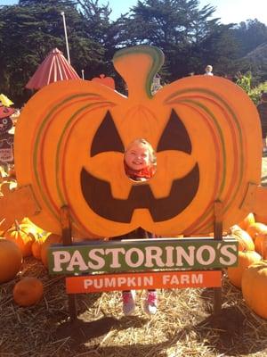 Had such a blast at Pastorino's Pumpkin Farm in Half Moon Bay! Gorgeous scenery and it's a great place to take the family.