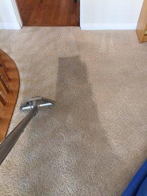 Southwestern Carpet & Upholstery Cleaning