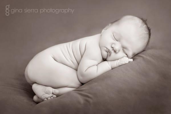 This 8 day old newborn was photographed in my home studio in Danbury, CT