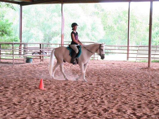 Sugar Land Stables