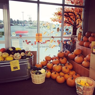 Organic pumpkins $3.79 and squash .99 cents per pound all of October!