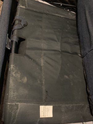 MOLD INFESTED SOFA SLEEPER