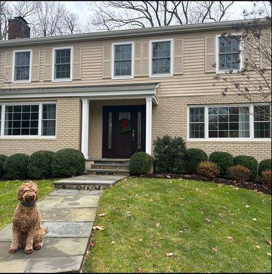 Outside of our at-home daycare featuring our friendly dog Axel