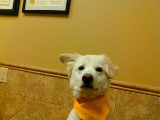 Stanley eagerly waiting to get his shots