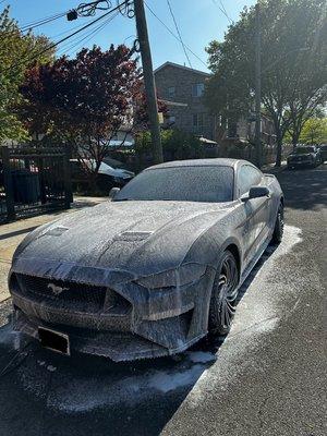 Mustang GT in for an Exterior Wash + Interior Silver package