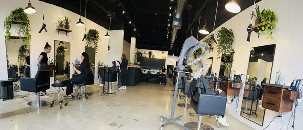 Uncommon Salon Inside