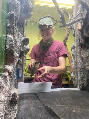 Awesome staff in the process of upgrading the herpetology enclosures.