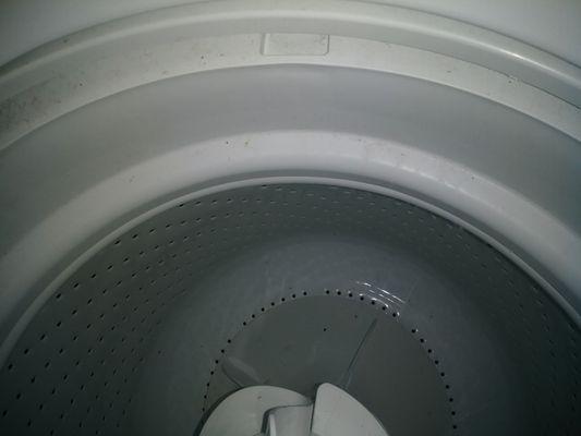 Dirty washer RAC delivered us after promising cleaned and sanitized units.