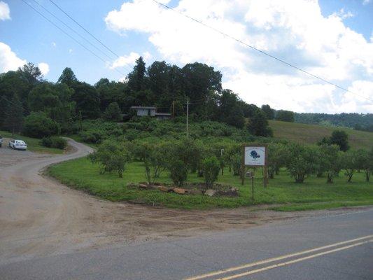 Thomas Berry Farm