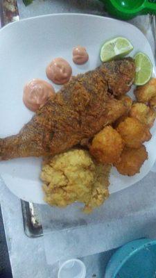 Snapper, golden conch fritters, and cracked conch.