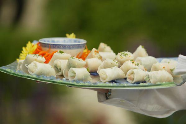 Asian Salad Spring Rolls